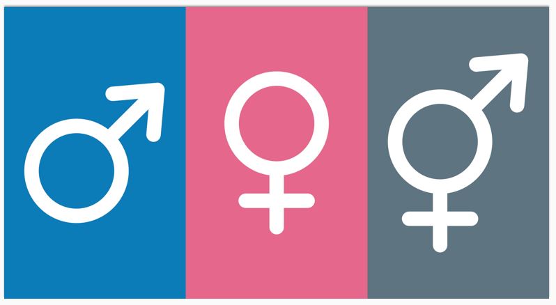 انواع جنسیت در زبان آلمانی